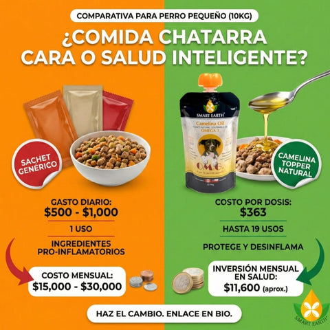 Comparativa de ahorro: Smart Earth Camelina Oil vs sobres de comida chatarra. Salud inteligente que protege, desinflama y cuesta menos por dosis