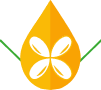 Smart Earth Camelina Chile